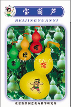 寶葫蘆