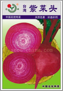 紫菜頭