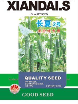長夏2號