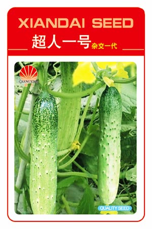 超人一號黃瓜