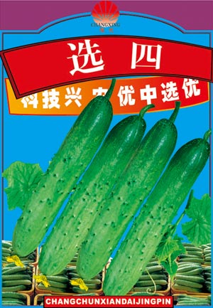吉選四