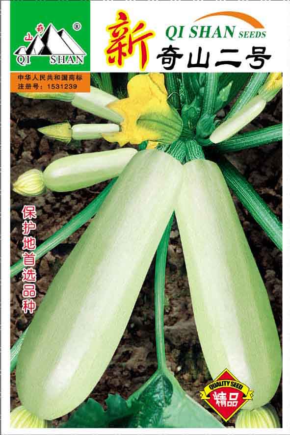 奇山二號(hào)西葫蘆種子