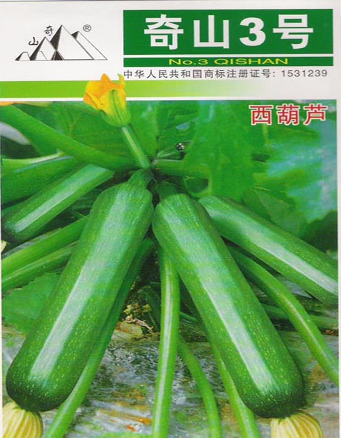 奇山三號(hào)西葫蘆種子