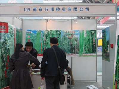 點擊在新窗口中打開