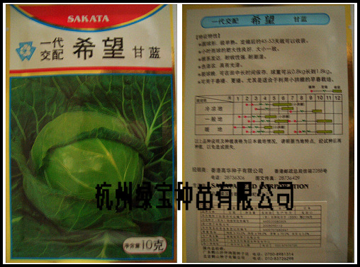 點擊在新窗口中打開
