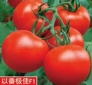 點(diǎn)擊在新窗口中打開