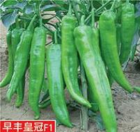 點(diǎn)擊在新窗口中打開