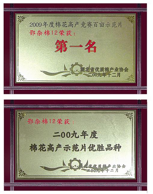 點擊在新窗口中打開