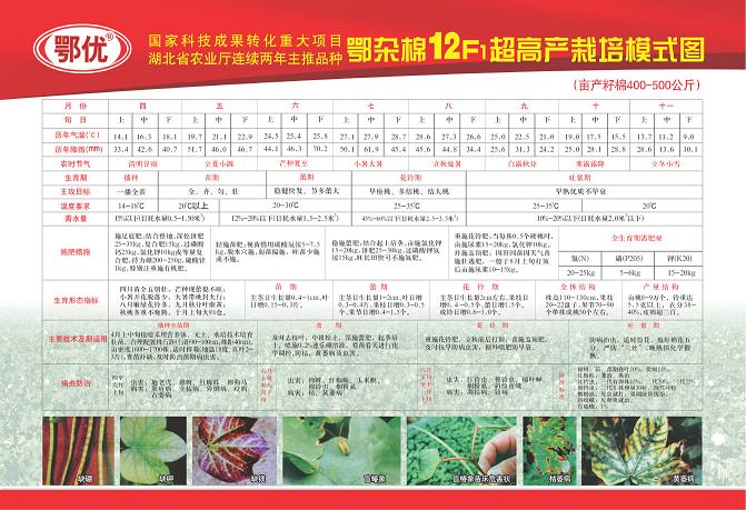 點擊在新窗口中打開