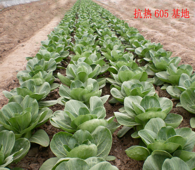 點擊在新窗口中打開