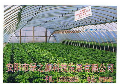 點擊在新窗口中打開
