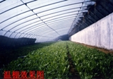 點(diǎn)擊在新窗口中打開
