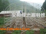 點擊在新窗口中打開