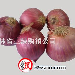 點(diǎn)擊在新窗口中打開