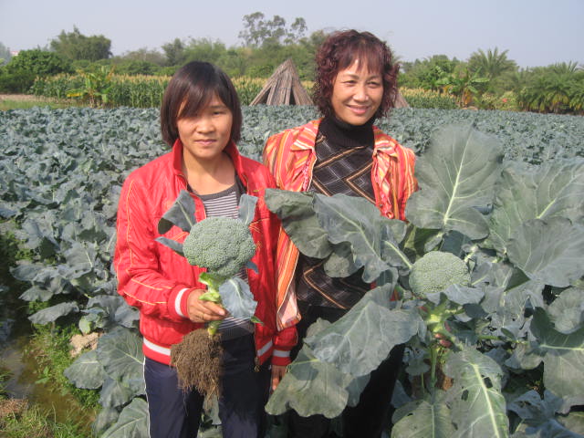 點(diǎn)擊在新窗口中打開