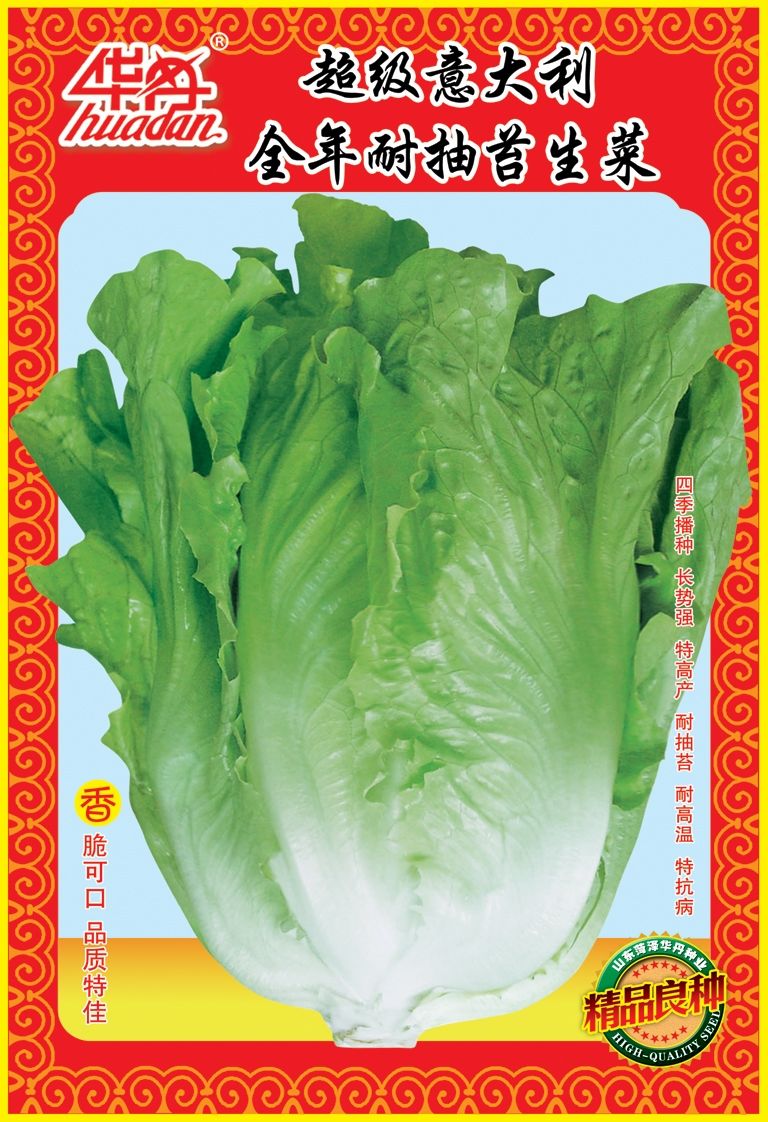 點(diǎn)擊在新窗口中打開