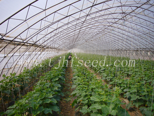點擊在新窗口中打開