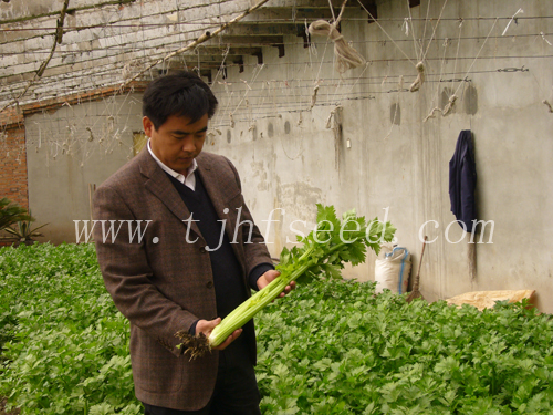 點擊在新窗口中打開