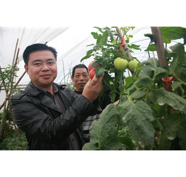 點擊在新窗口中打開