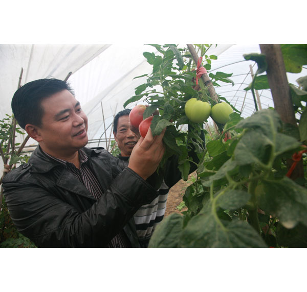 點擊在新窗口中打開