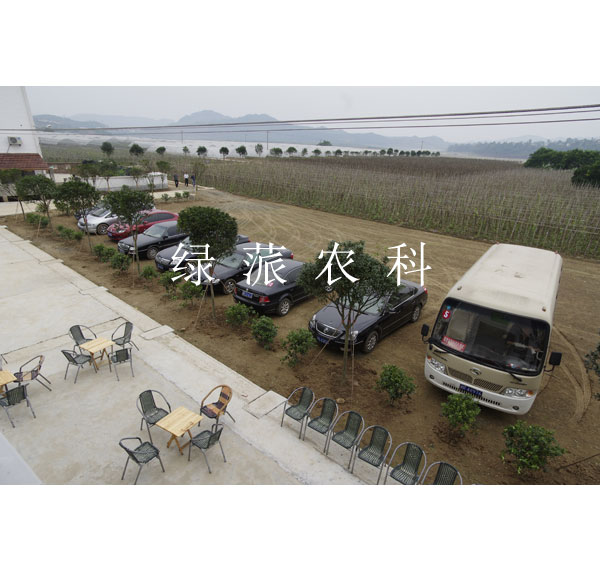 點擊在新窗口中打開