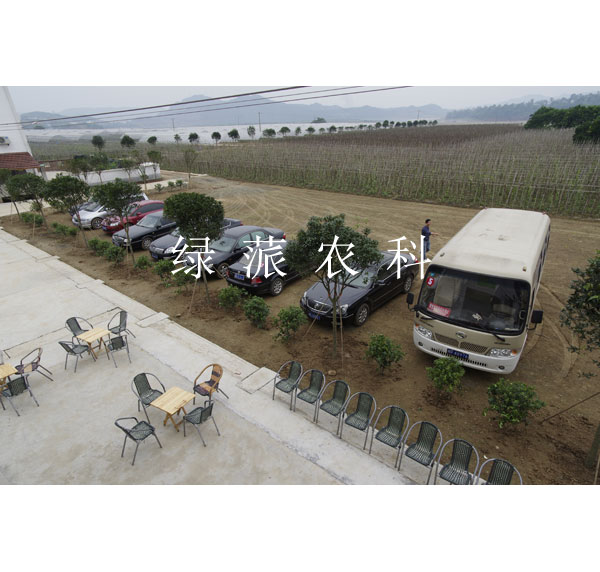 點擊在新窗口中打開