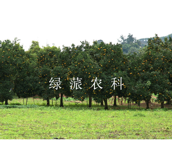 點擊在新窗口中打開