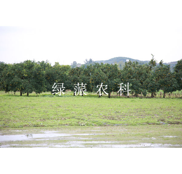 點擊在新窗口中打開