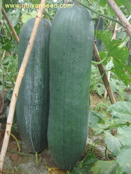 點(diǎn)擊在新窗口中打開