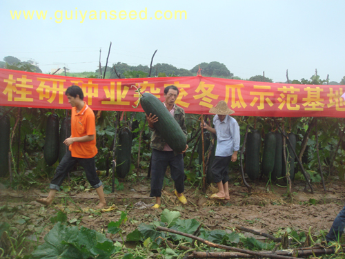點(diǎn)擊在新窗口中打開