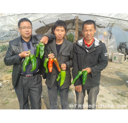點擊在新窗口中打開