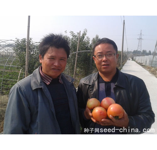 點擊在新窗口中打開