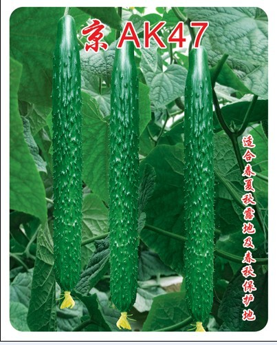 點擊在新窗口中打開