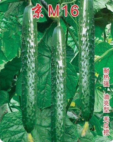 點擊在新窗口中打開