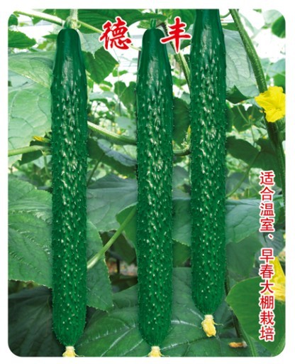 點擊在新窗口中打開