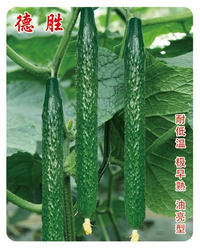 點擊在新窗口中打開