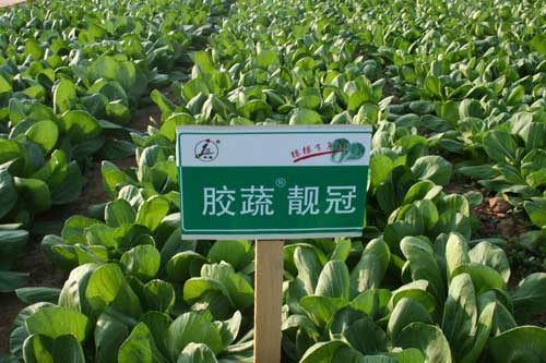 點擊在新窗口中打開