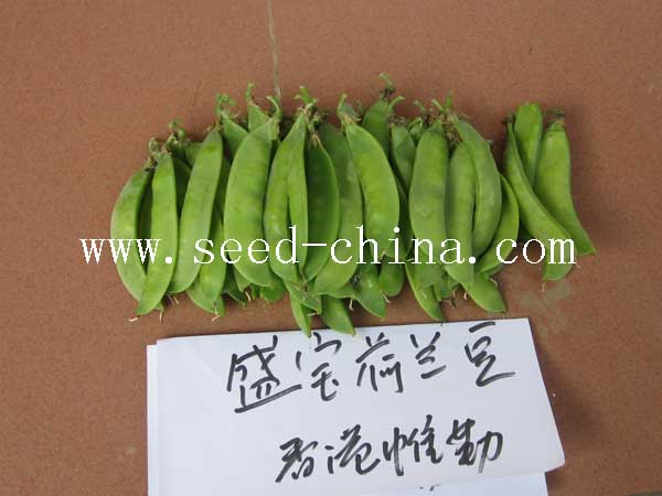 點(diǎn)擊在新窗口中打開(kāi)