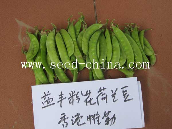 點(diǎn)擊在新窗口中打開(kāi)