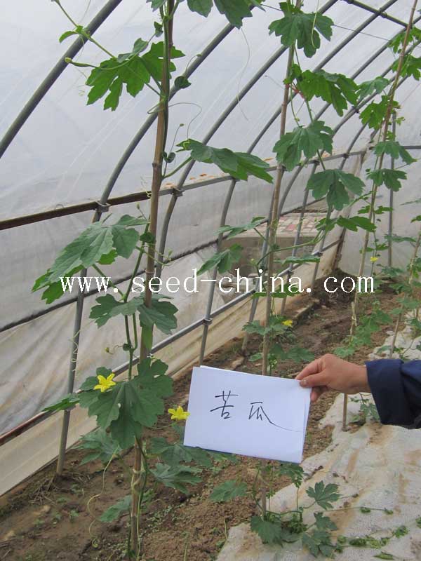 點擊在新窗口中打開