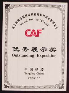 點擊在新窗口中打開