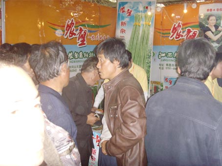 點(diǎn)擊在新窗口中打開