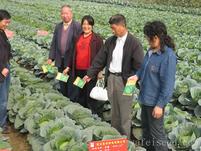 點擊在新窗口中打開