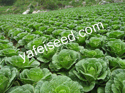 點擊在新窗口中打開