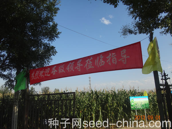 點擊在新窗口中打開