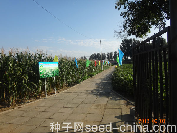 點擊在新窗口中打開