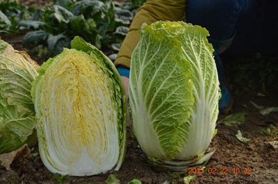 點擊在新窗口中打開