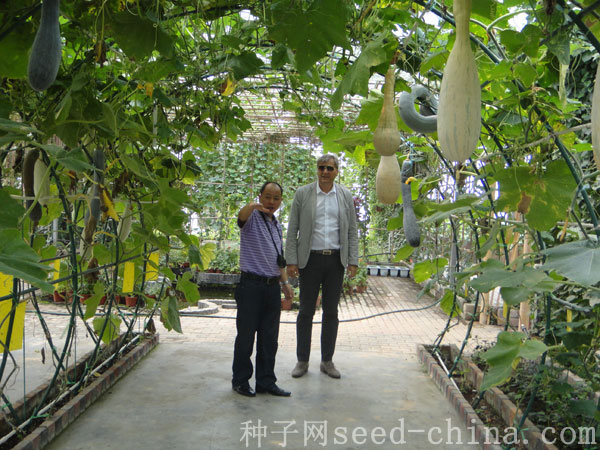 點(diǎn)擊在新窗口中打開(kāi)