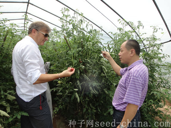 點(diǎn)擊在新窗口中打開(kāi)