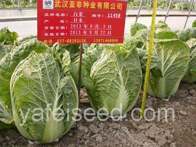 點(diǎn)擊在新窗口中打開(kāi)